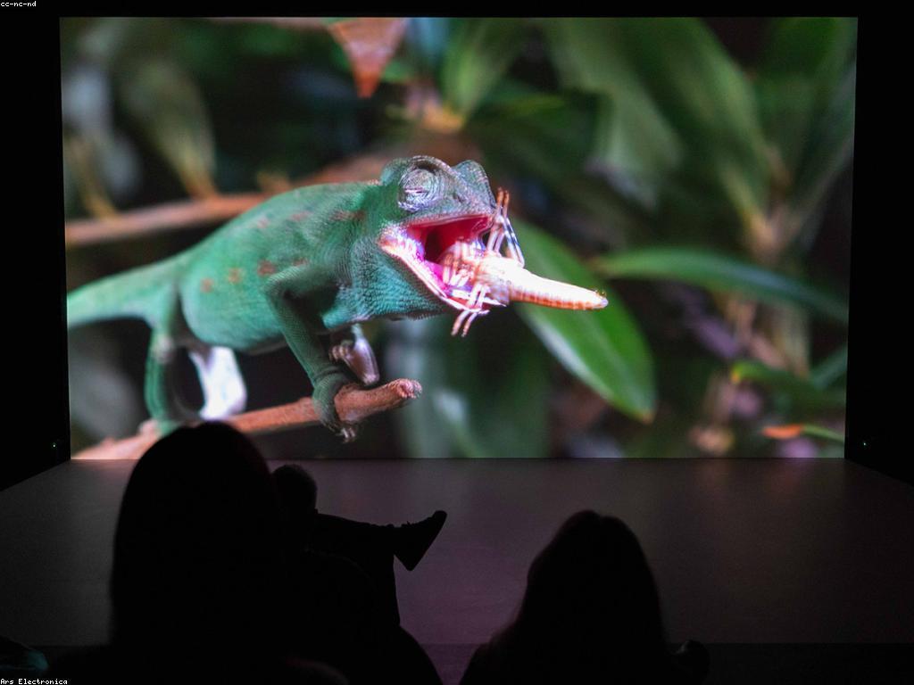 អនាគតនៃសេដ្ឋកិច្ចឌីជីថល