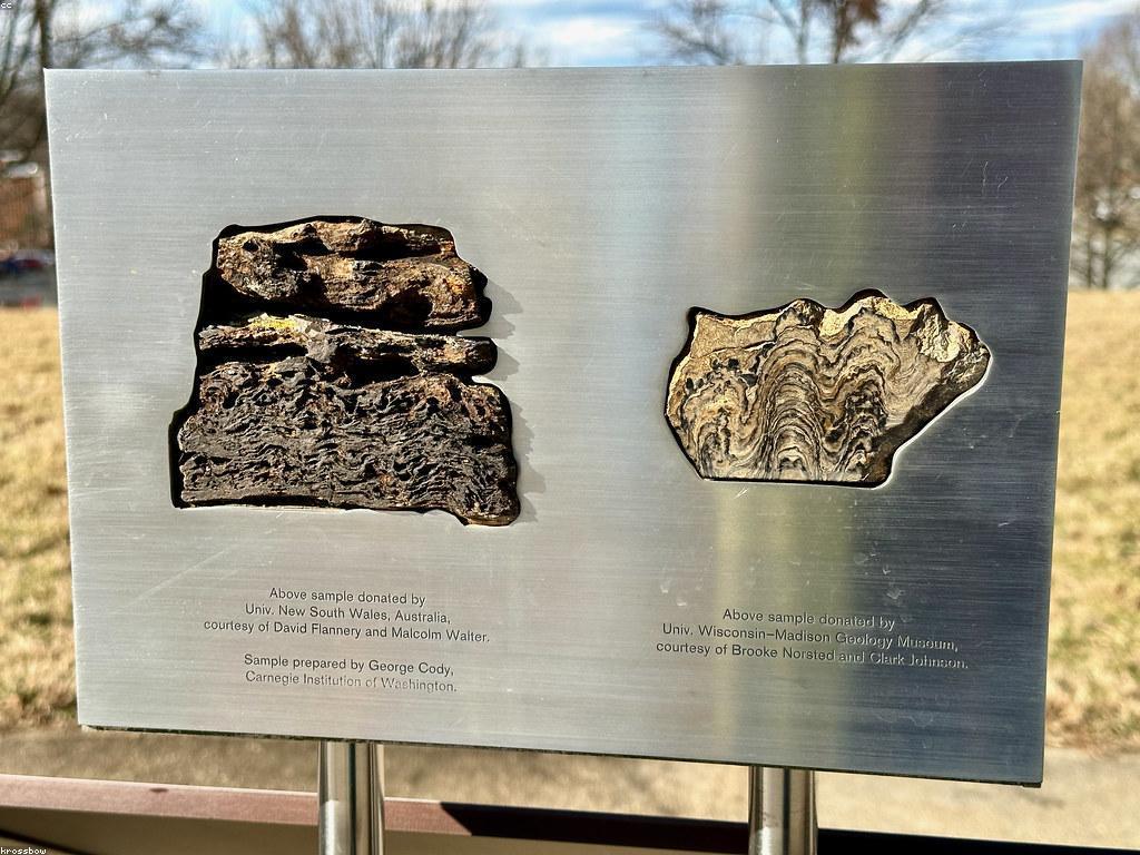 សារៈសំខាន់នៃការសិក្សាអនឡាញ